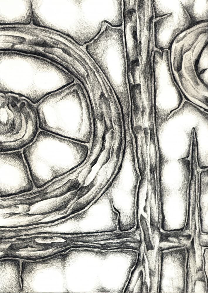 Organic Interlocking Forms by Kulik — canvas wall art