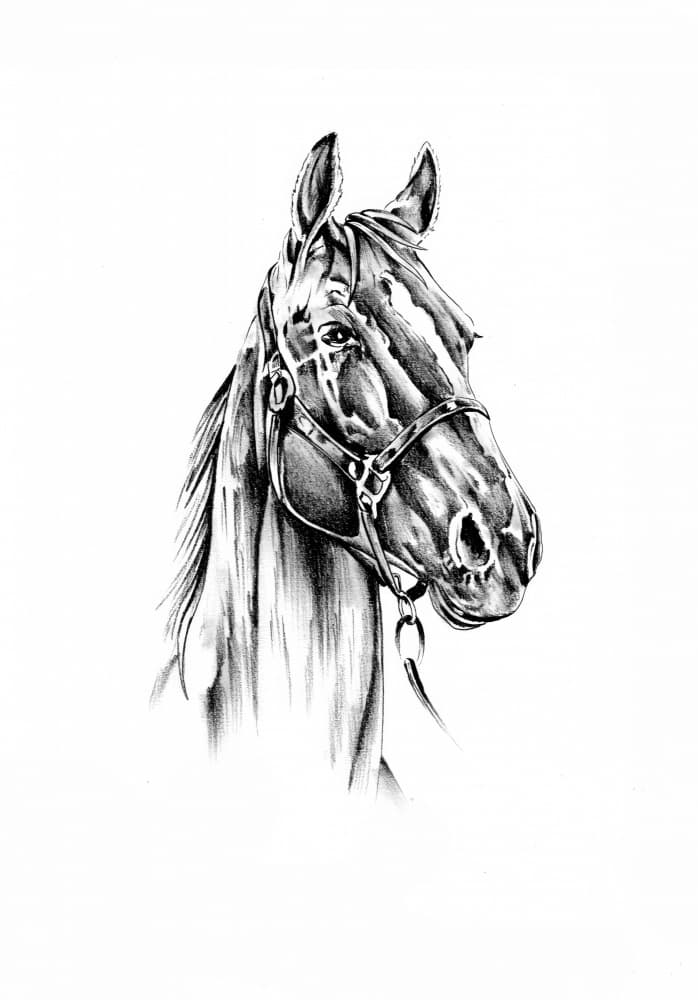 Spirited Horse Portrait by Kulik — canvas wall art