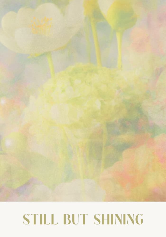 Softspokenno20 by Treechild — canvas wall art