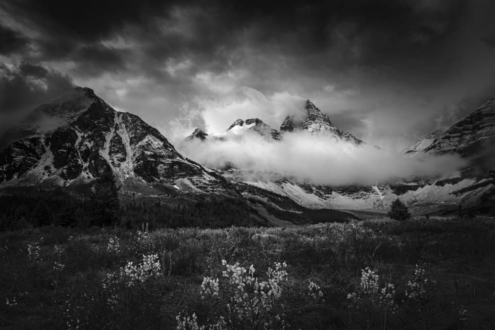 Moody Alpine Landscape by Bing Li — canvas wall art