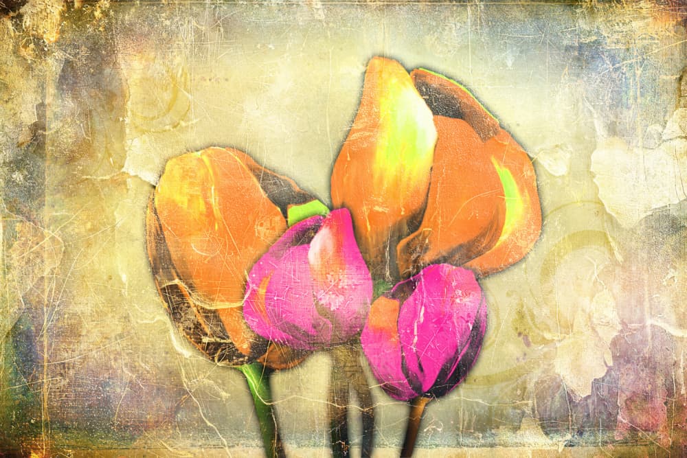 Vibrant Rustic Tulips by Rafal Kulik — canvas wall art
