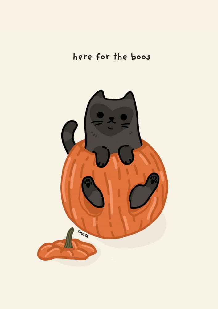 Black Cat Playfully Sitting In A Pumpkin by Tara Royle — canvas wall art