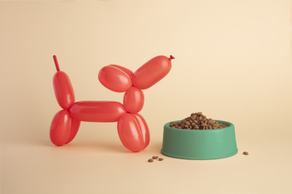 Red Balloon Dog Treat by Julia Ramiro — canvas wall art