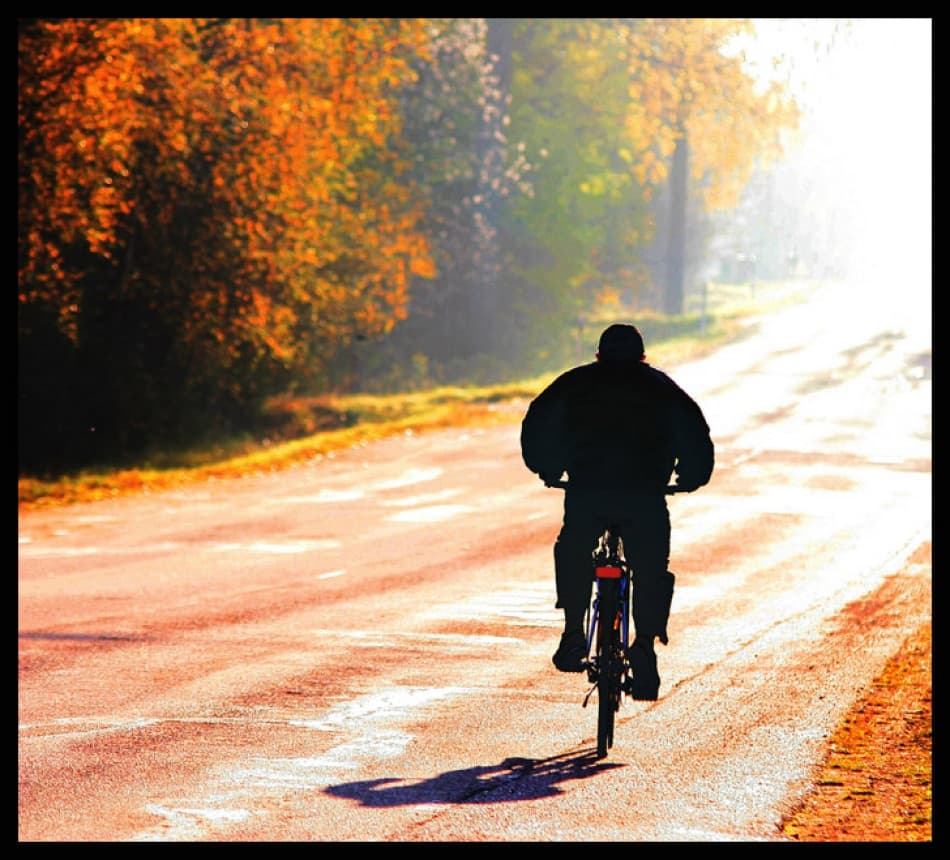 Solitary Autumn Journey by Bror Johansson — canvas wall art