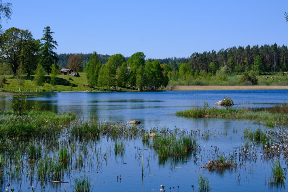 Spring Lakeside Tranquility by Geertjan Plooijer — canvas wall art
