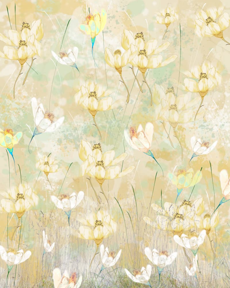 Dreamy Yellow Meadow by Sannel Larson — canvas wall art