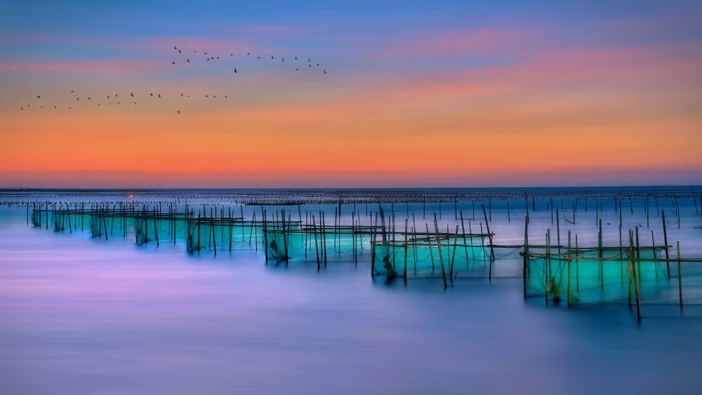 Colorful Aquaculture Sunset by MingLun Tsai (蔡明倫) — canvas wall art
