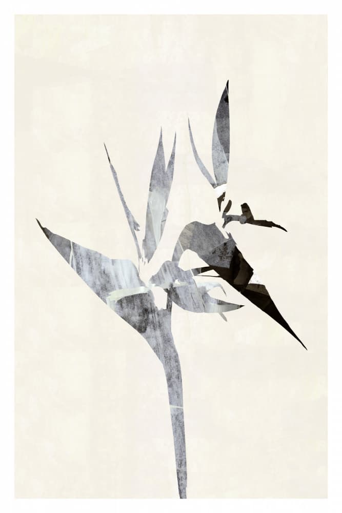 Abstract Bird of Paradise by cartissi — canvas wall art