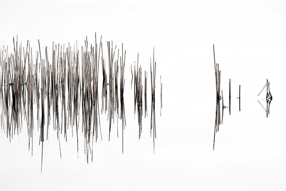 Rhythm by Nel Talen — canvas wall art