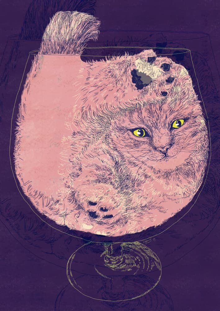 Fluffy Cat In Glass by Katariina Kosunen — canvas wall art