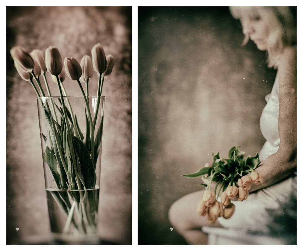 Muted Tulips Quiet Grace by Jacob Tuinenga — canvas wall art