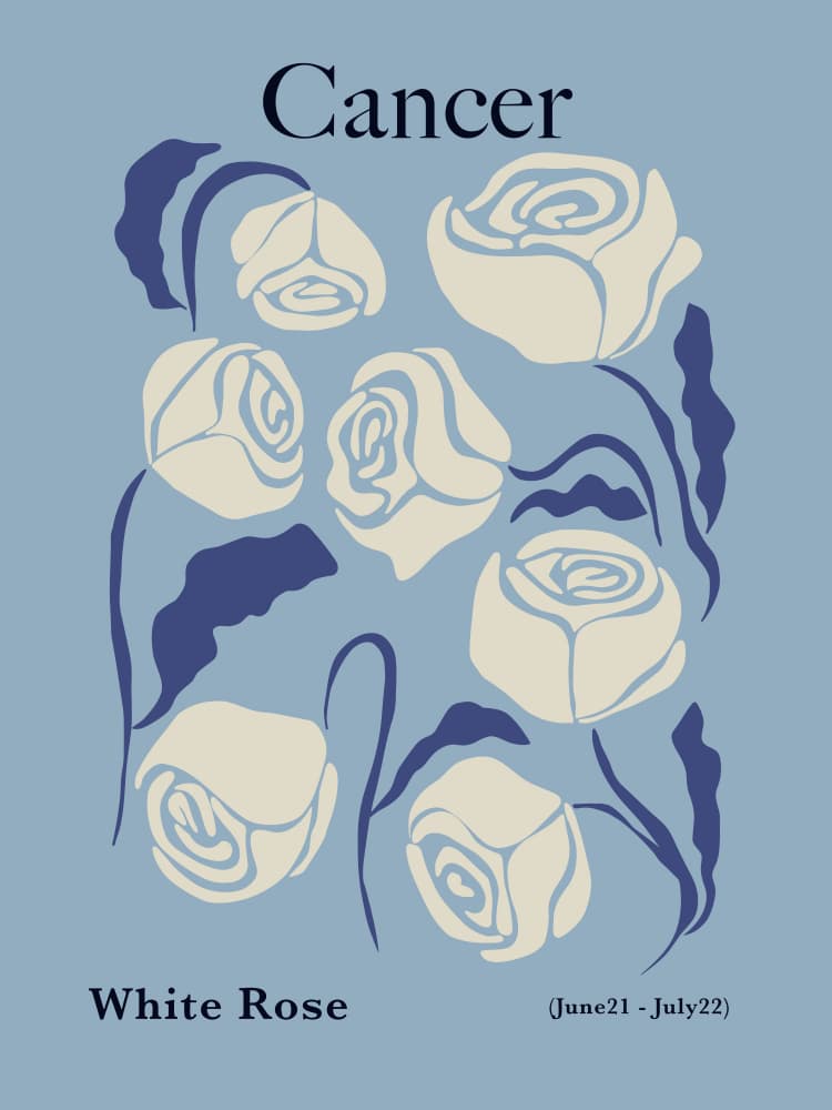 White Roses Cancer Zodiac by Miho Art Studio — canvas wall art