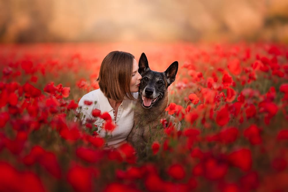 Best Friends Poppy Field by Ve Shandor — canvas wall art