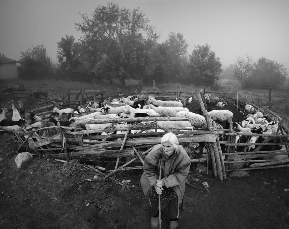 Misty Farm Woman and Flock by Todor Tanev — canvas wall art