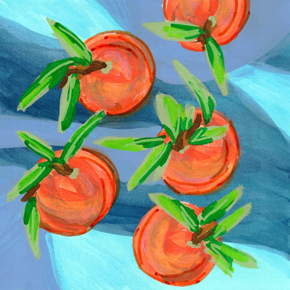 Vibrant Citrus Fruits by Lori Ann Folz — canvas wall art
