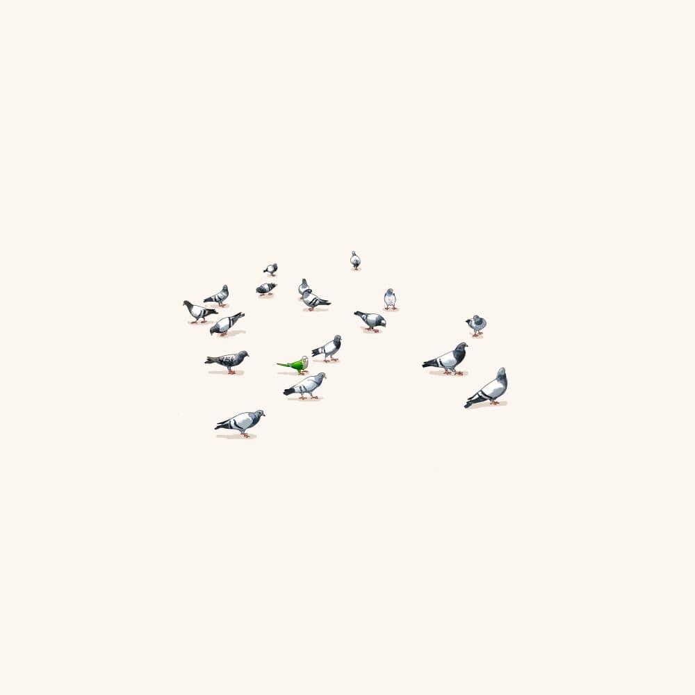 Green Bird Among Pigeons by Jason Ratliff — canvas wall art