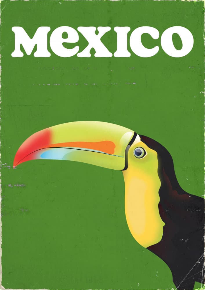Vintage Mexico Toucan by Nicholas — canvas wall art