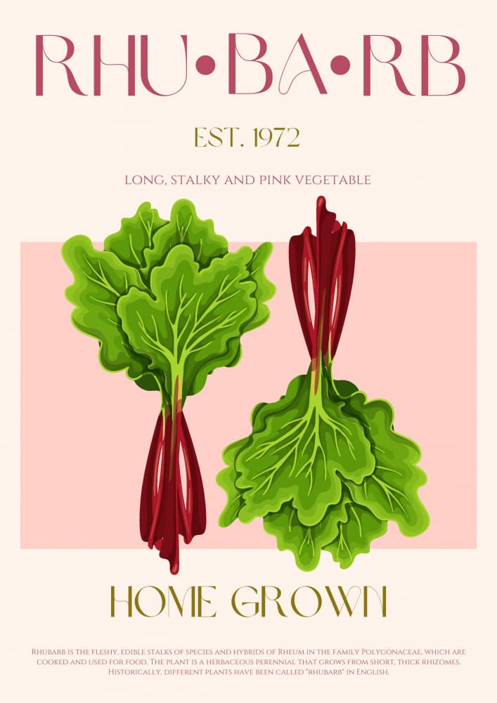 Rhubarb Home Grown by Nazma Khokhar — canvas wall art