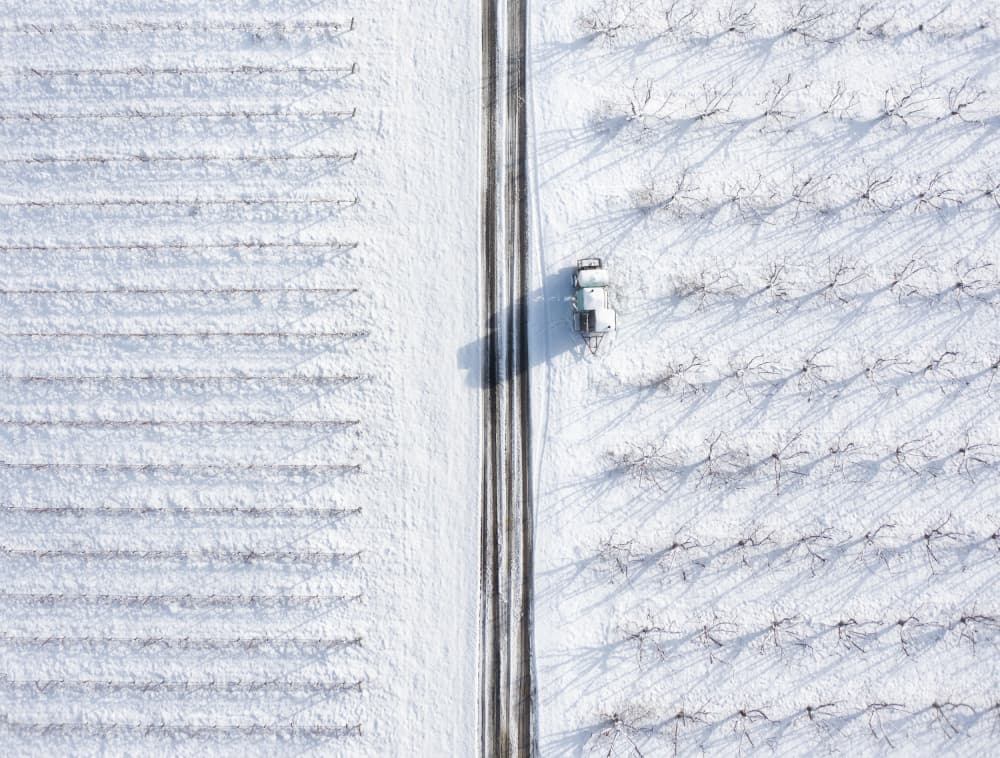 Snowy Orchard Road by Shenshen Dou — canvas wall art