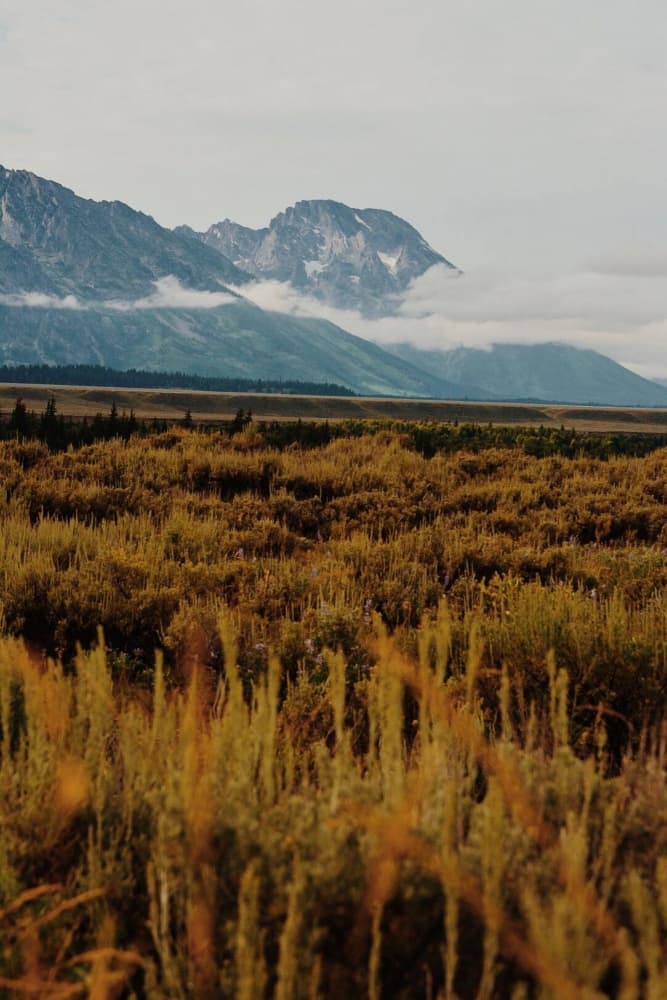 Autumnal Mountain Vista by Del Mundo Imagery — canvas wall art