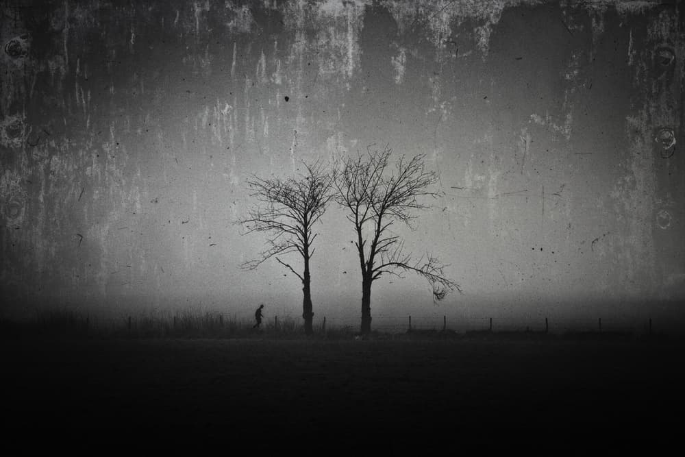 Lone Figure Foggy Trees by Adam Dauria ☂ — canvas wall art