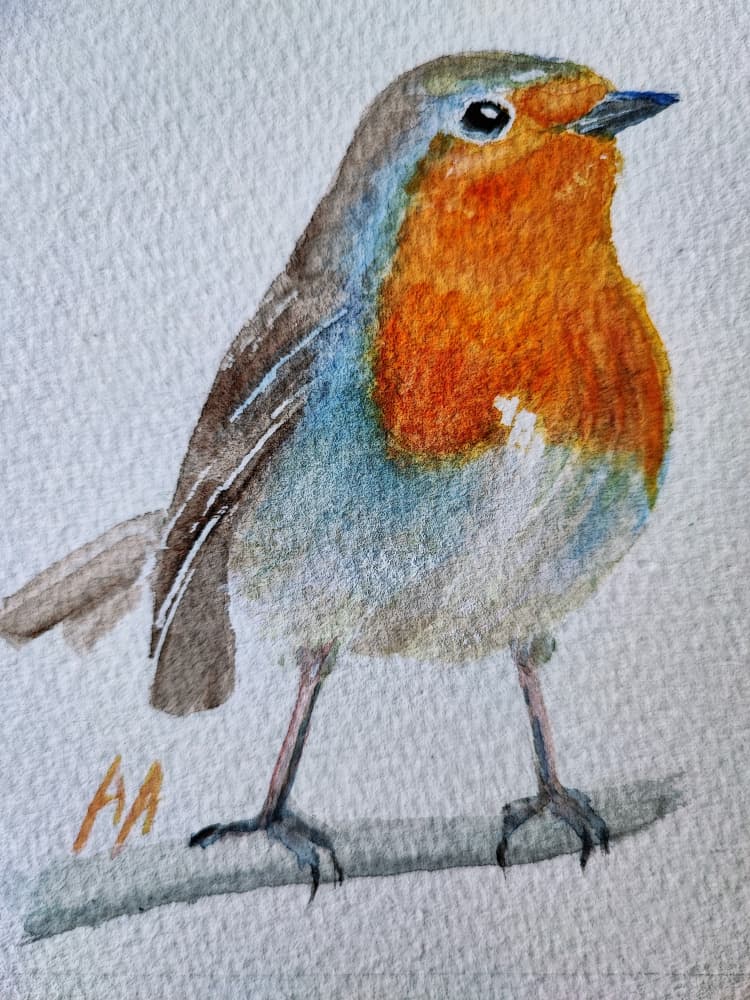 Charming Watercolor Robin by Annette Armitage — canvas wall art
