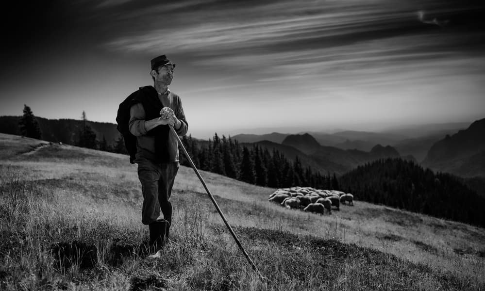 Shepherd's Mountain Vista by Julien Oncete — canvas wall art