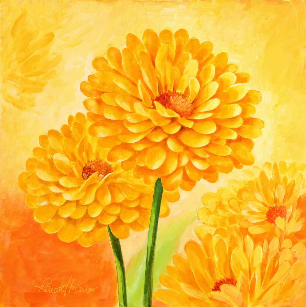 Vibrant Yellow Blooms by Renate Holzner — canvas wall art