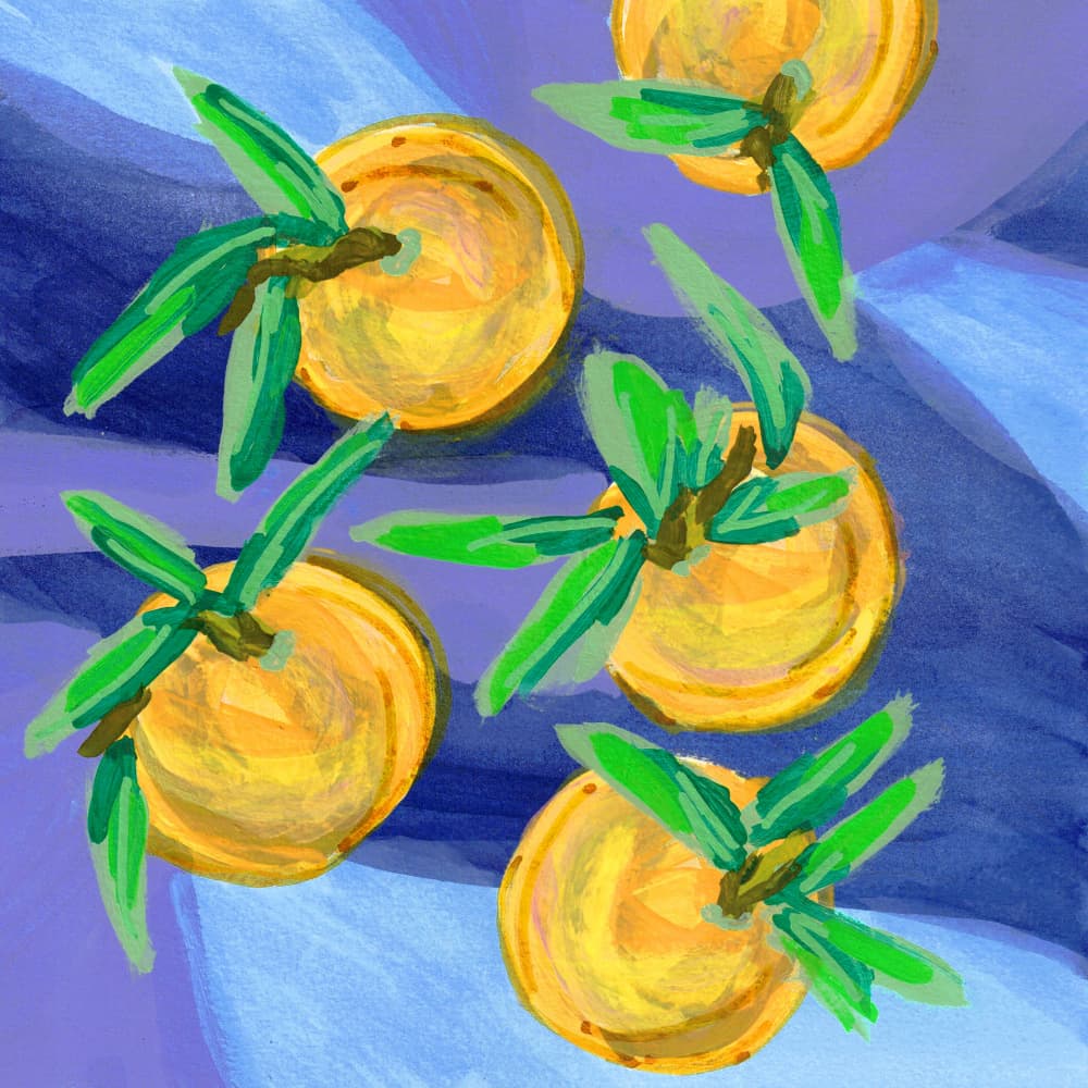 Fresh Citrus Oranges by Lori Ann Folz — canvas wall art