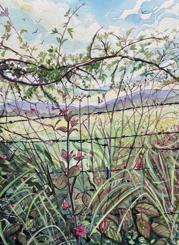 Wild Meadow Fence by Luisa Millicent — canvas wall art