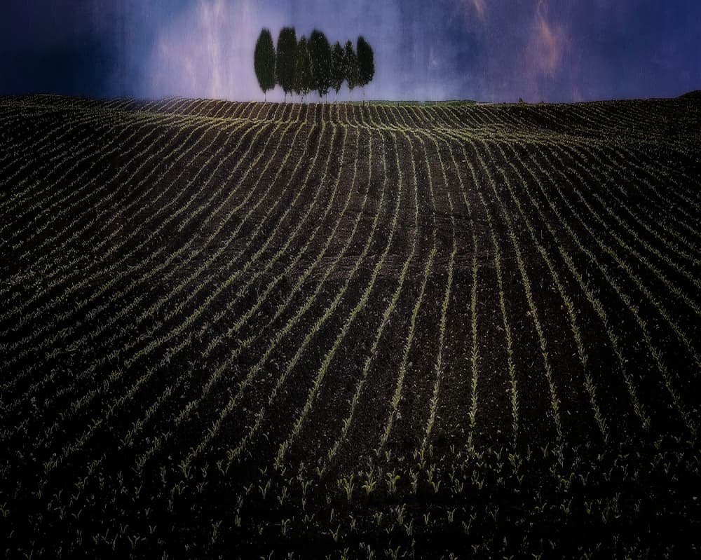 fields in early spring by Anna Cseresnjes — canvas wall art