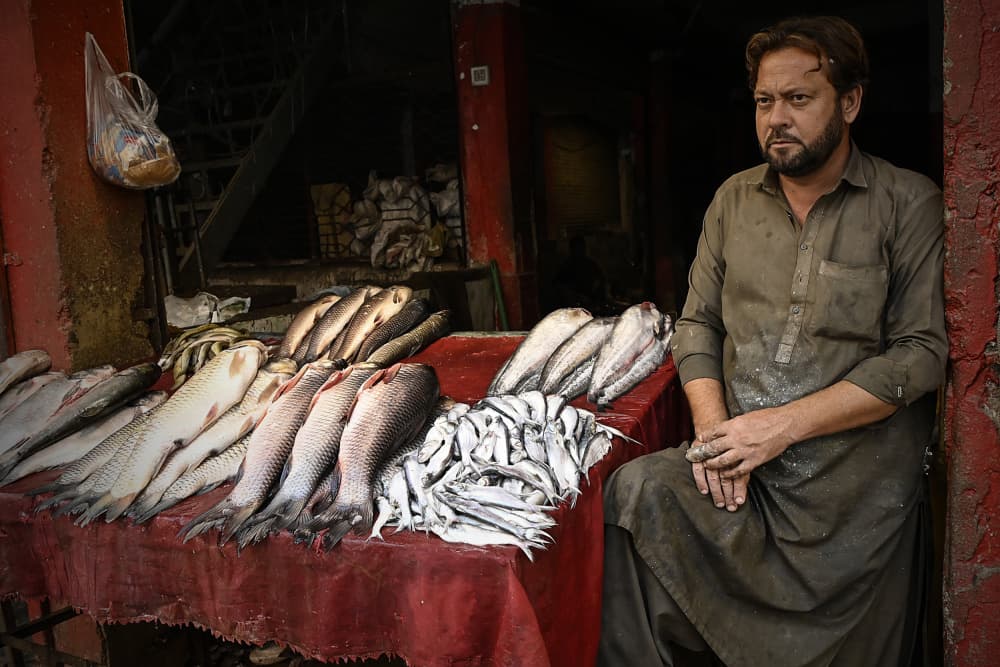 Market Fishmonger Portrait by Irene Perovich — canvas wall art