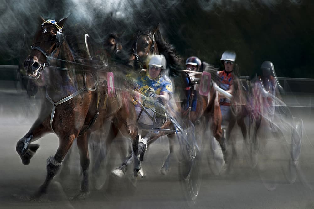 Dynamic Harness Race by Milan Malovrh — canvas wall art