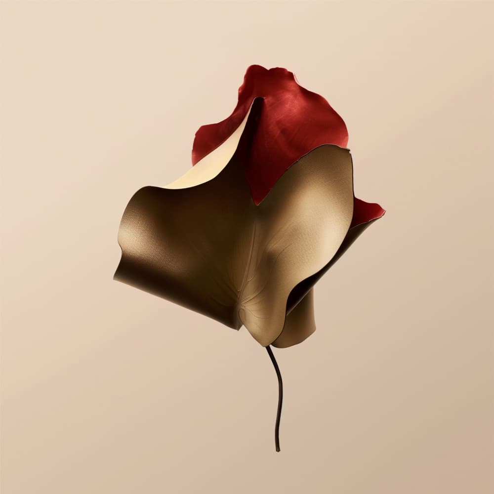 Elegant Leather Flower by Alma — canvas wall art