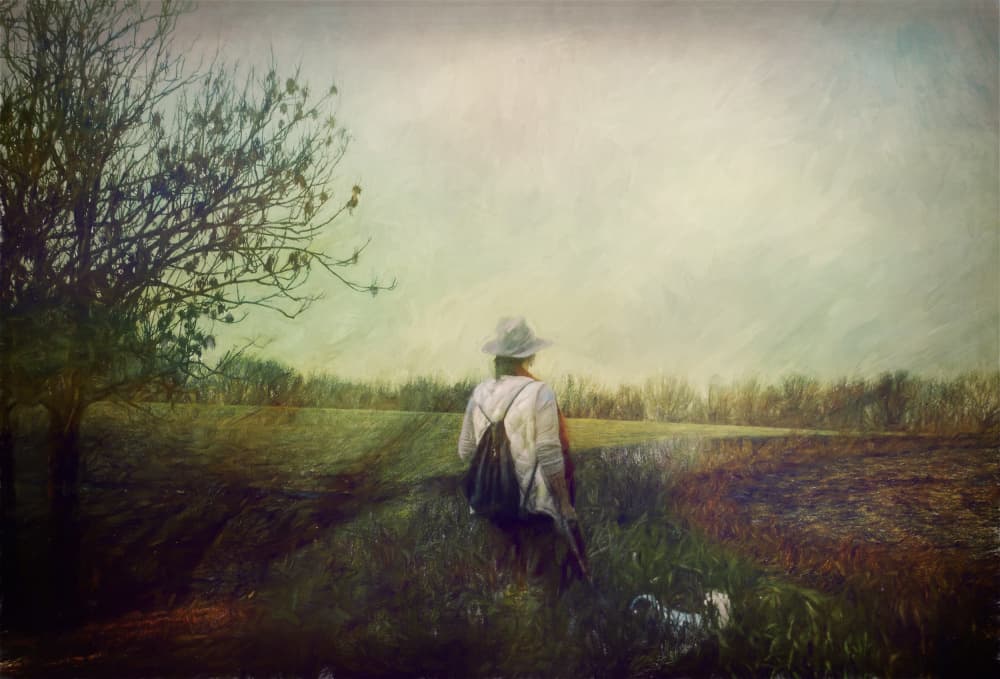 Field Wanderer With Dog by Rachel Pansky — canvas wall art