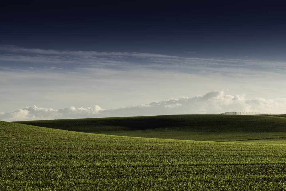 Green Rolling Hills by Javier Pardina — canvas wall art
