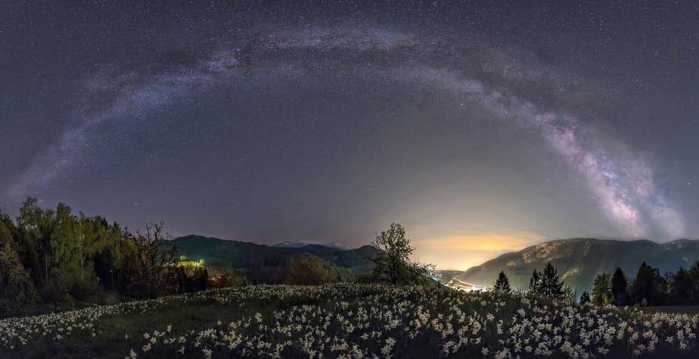 Galactic Meadow Night by Ales Krivec — canvas wall art