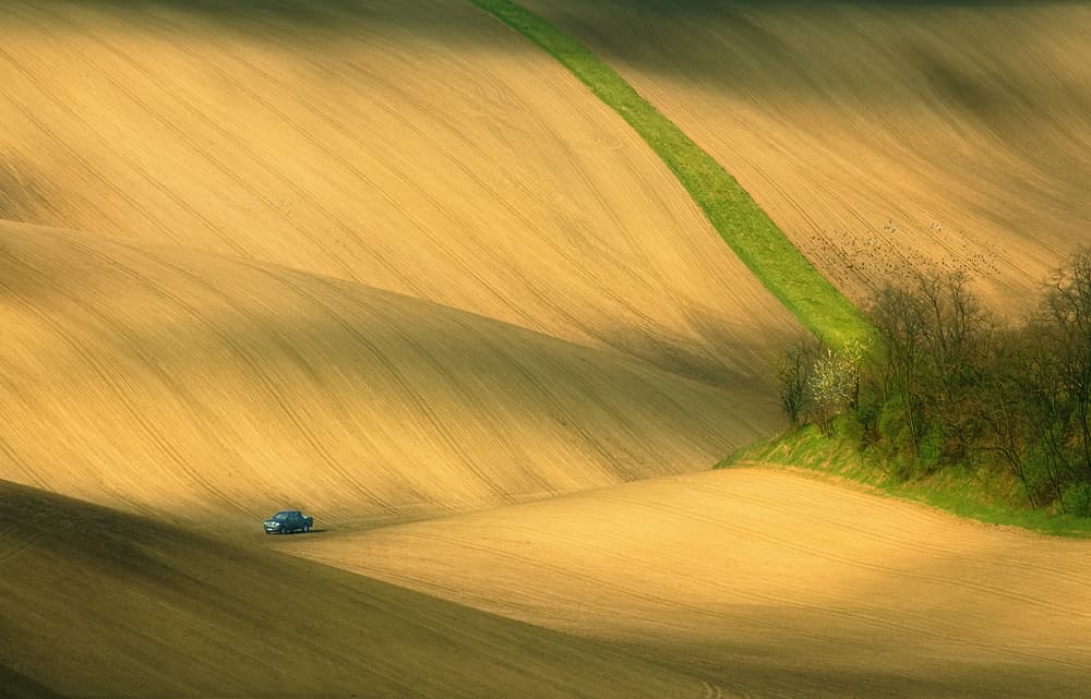 Rolling Golden Fields by Krzysztof Browko — canvas wall art
