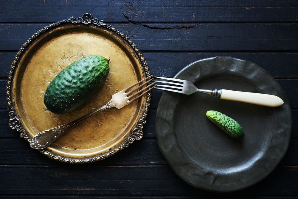 Rustic Cucumber Contrast by Karina Aleksandrova — canvas wall art