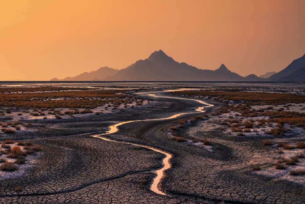 Golden Desert River by Tiger Seo — canvas wall art