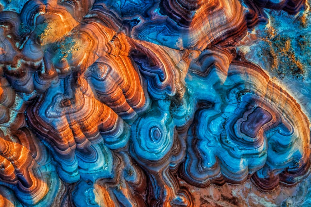 Organic Blue Orange Patterns by Jun Zuo — canvas wall art