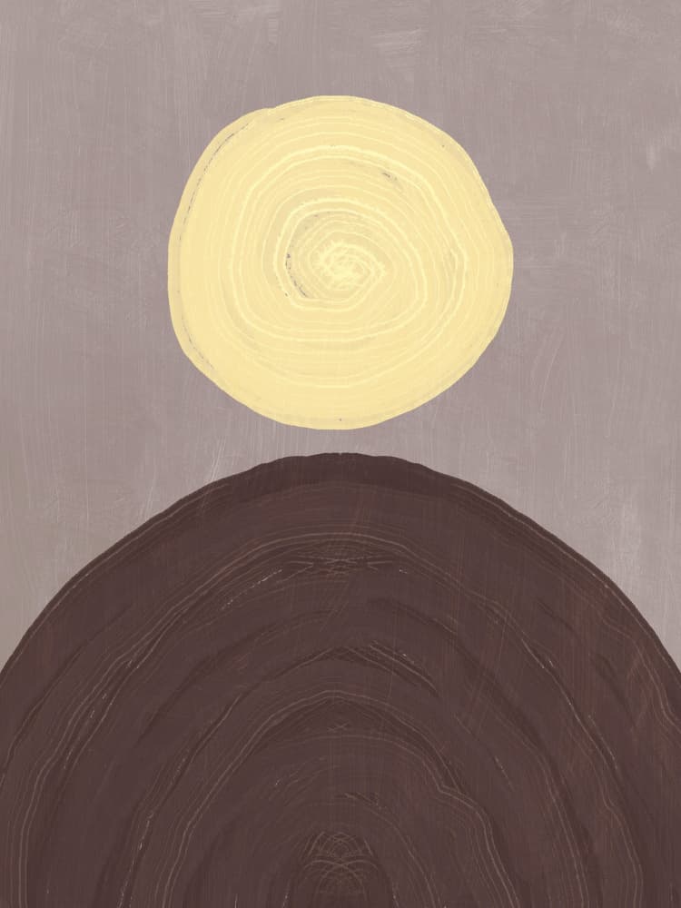 Organic Sunscape Abstract by Little Dean — canvas wall art