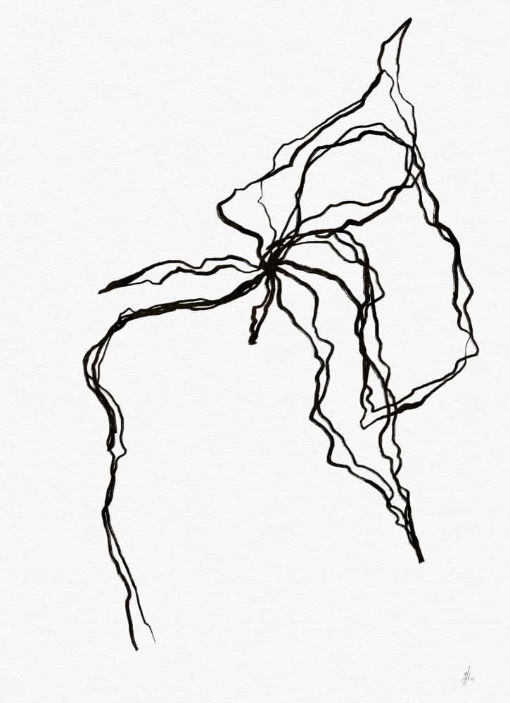 Organic Flowing Lines by Ankie Kooi — canvas wall art