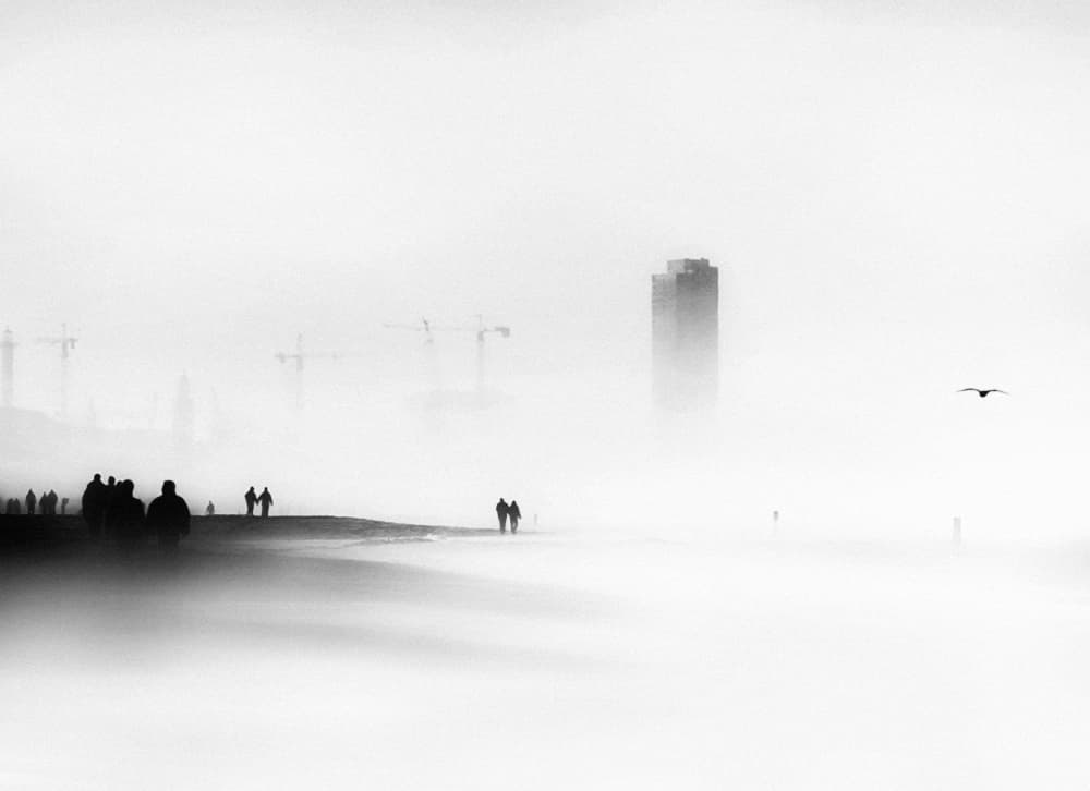 Coastal Fog Silhouettes by Piet Flour — canvas wall art