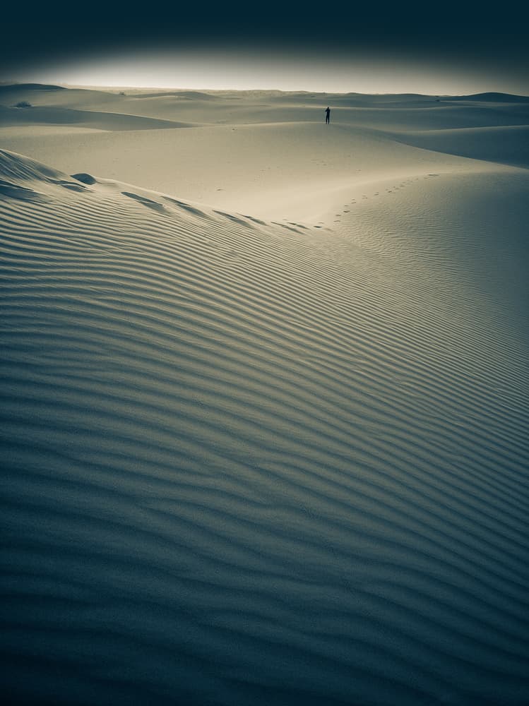 Desert Solitude Path by Bingo Z — canvas wall art