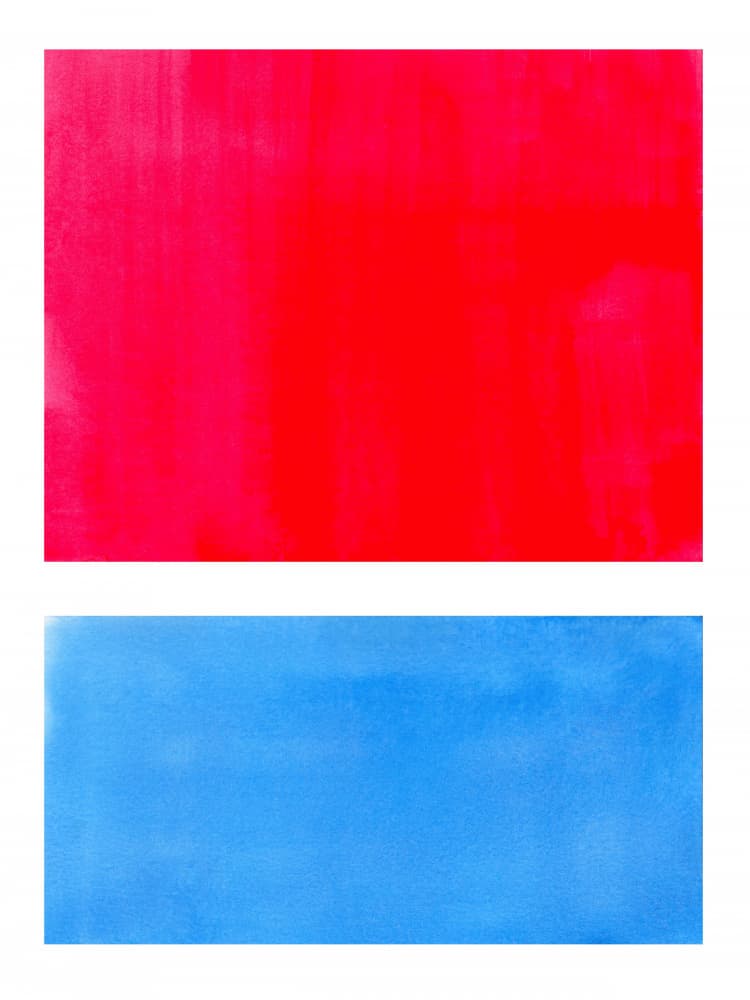Vibrant Red Blue by Ejaaz Haniff — canvas wall art