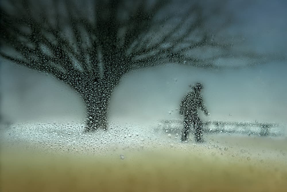 Solitary Man Rainy Window by Shenshen Dou — canvas wall art