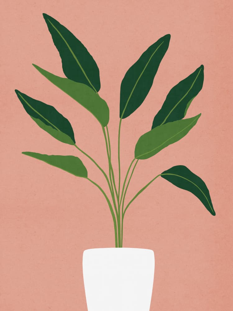Serene Potted Green Plant by Vitor Costa — canvas wall art