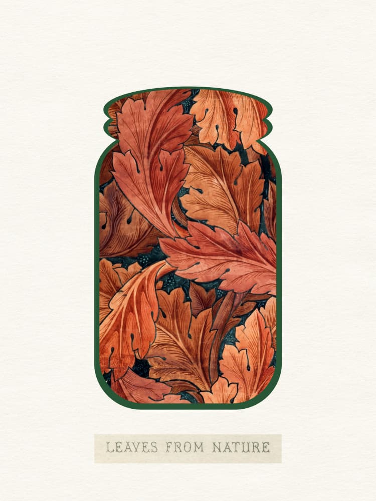 Autumn Leaves in Jar by Wild Violets — canvas wall art