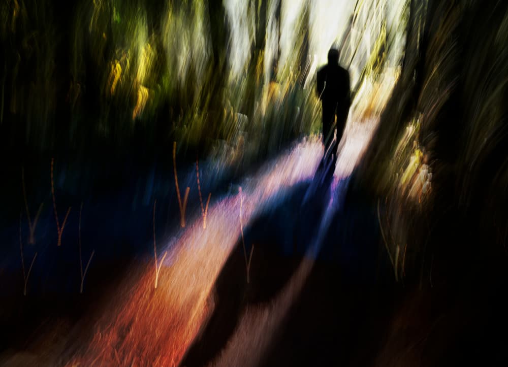 Path Of Motion by Shenshen Dou — canvas wall art